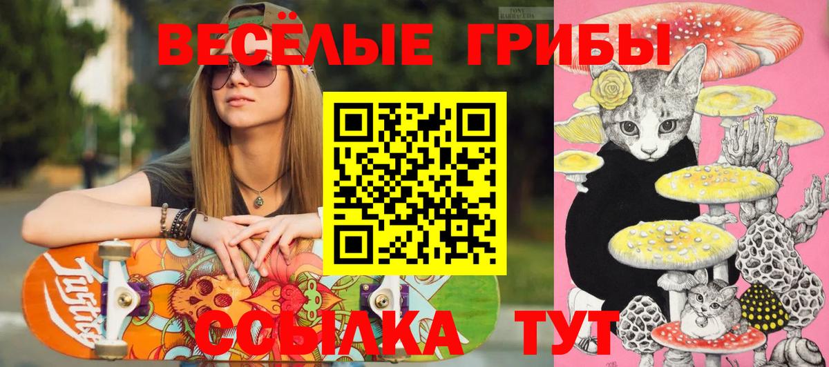 хочу   Вход с VPN  Нягань  Галлюциногенные грибы MAGIC MUSHROOMS 